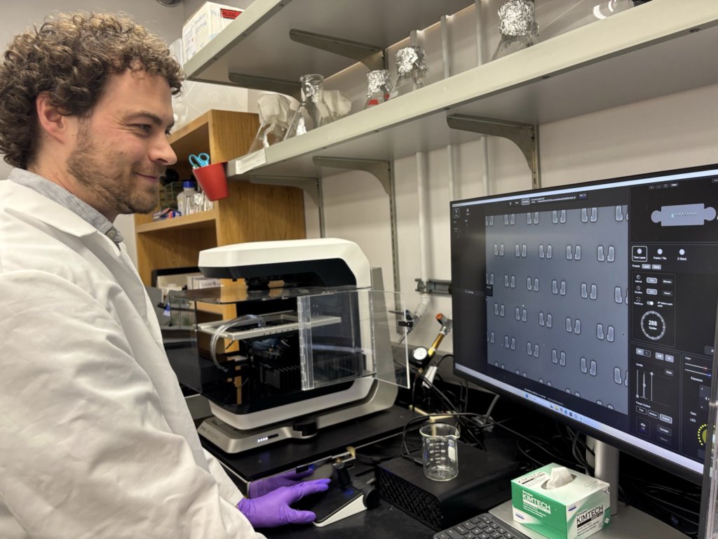 QB3Berkeley's tweet photo. New @UCBerkeley research from the Brar and Ünal labs puts us one step closer to understanding gametogenic rejuvenation. 

Lead author Silvan Spiri developed a platform to discover the first factors responsible for making cells “young” again. 

Read more: https://t.co/wrs3BAT5YF https://t.co/eR0bSKPUpN