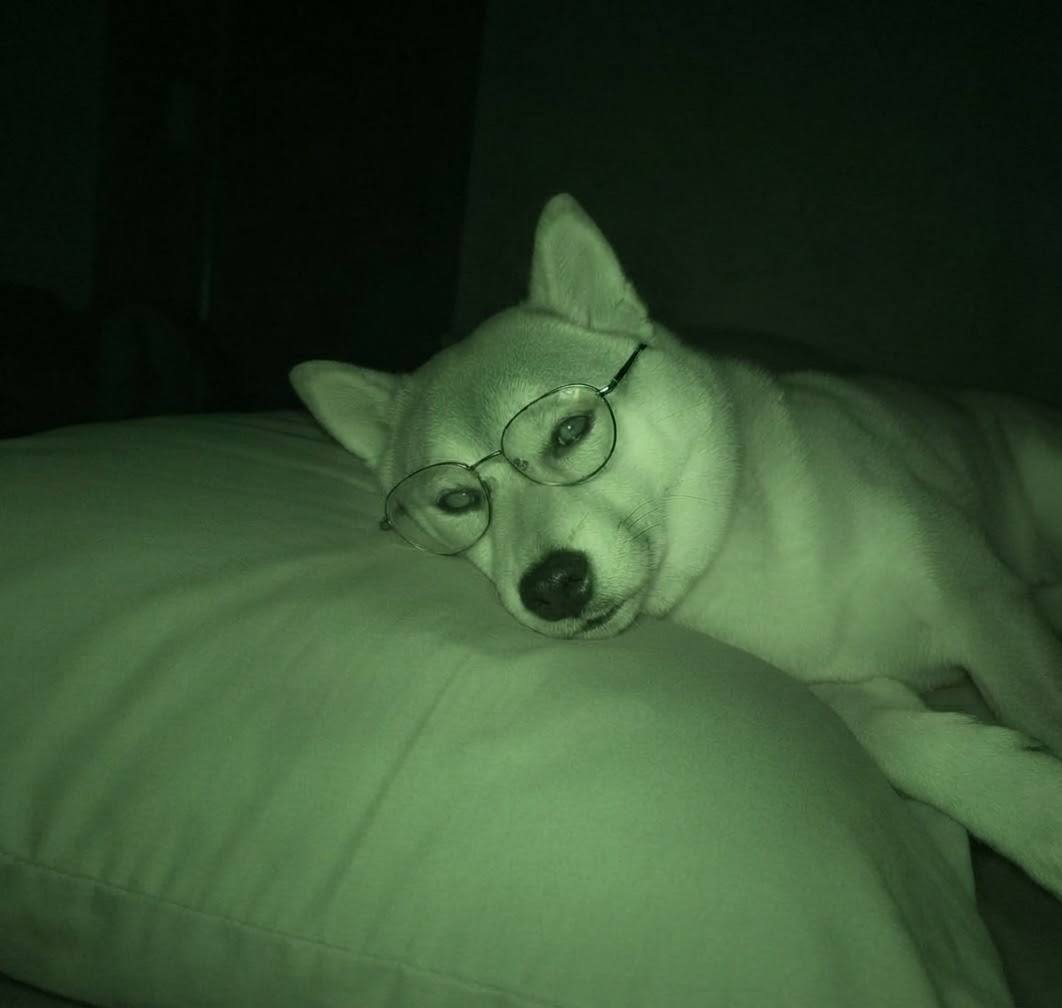 soonshib's tweet photo. @CoinMarketCap yo https://t.co/5LJnFaoo9y