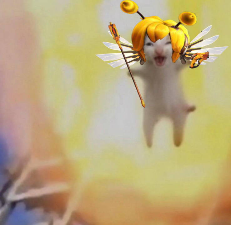 eurydibee's tweet photo. How it genuinely feels to play Mercy when a Junkrat ults https://t.co/O0LYOnhWOb