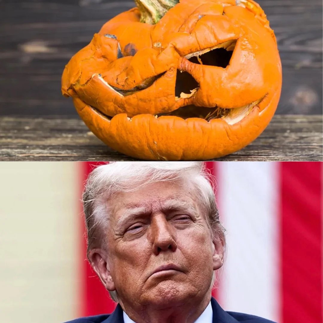 FucYourFeeFees's tweet photo. It's spooky season, assholes! Someone wake up Billy Joe Armstrong and tell that pussy it's October. Also, Trump is a pedophile. 
#DarkArmada https://t.co/q37lHY0Khx