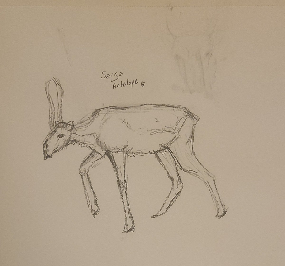 Spiced_Butters's tweet photo. Drawing animals genuinely has made me so much better at following a reference. It's also really fun bc every species looks different and I get to categorize them by taxonomy in my head which makes drawing them (you guessed it) easier.
#tradart #drawingtips #animals #animaldrawing https://t.co/ZdNJ7DkUmp