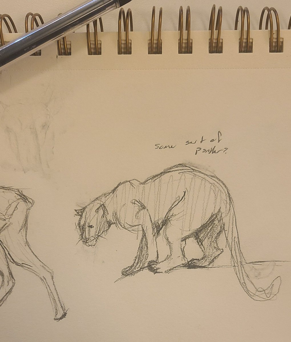 Spiced_Butters's tweet photo. Drawing animals genuinely has made me so much better at following a reference. It's also really fun bc every species looks different and I get to categorize them by taxonomy in my head which makes drawing them (you guessed it) easier.
#tradart #drawingtips #animals #animaldrawing https://t.co/ZdNJ7DkUmp