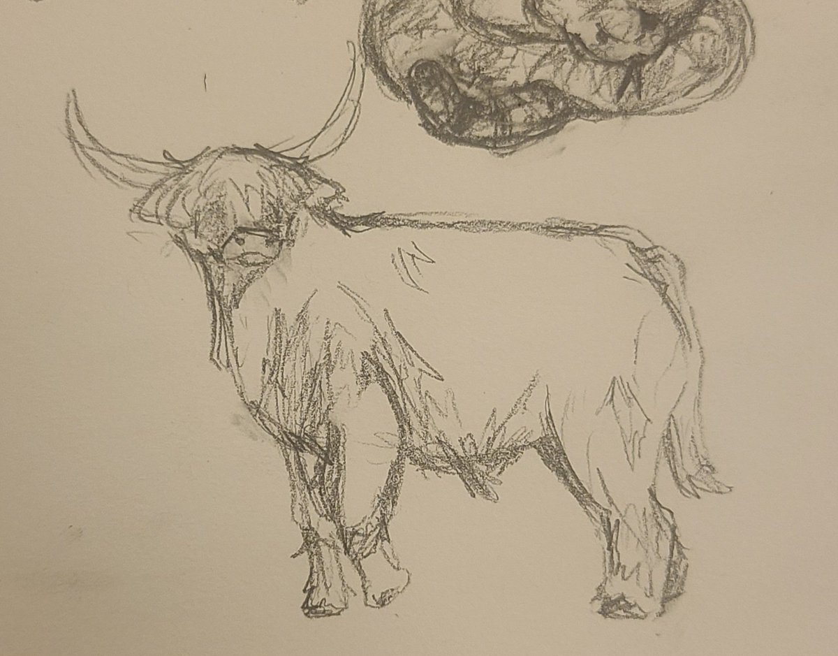 Spiced_Butters's tweet photo. Drawing animals genuinely has made me so much better at following a reference. It's also really fun bc every species looks different and I get to categorize them by taxonomy in my head which makes drawing them (you guessed it) easier.
#tradart #drawingtips #animals #animaldrawing https://t.co/ZdNJ7DkUmp