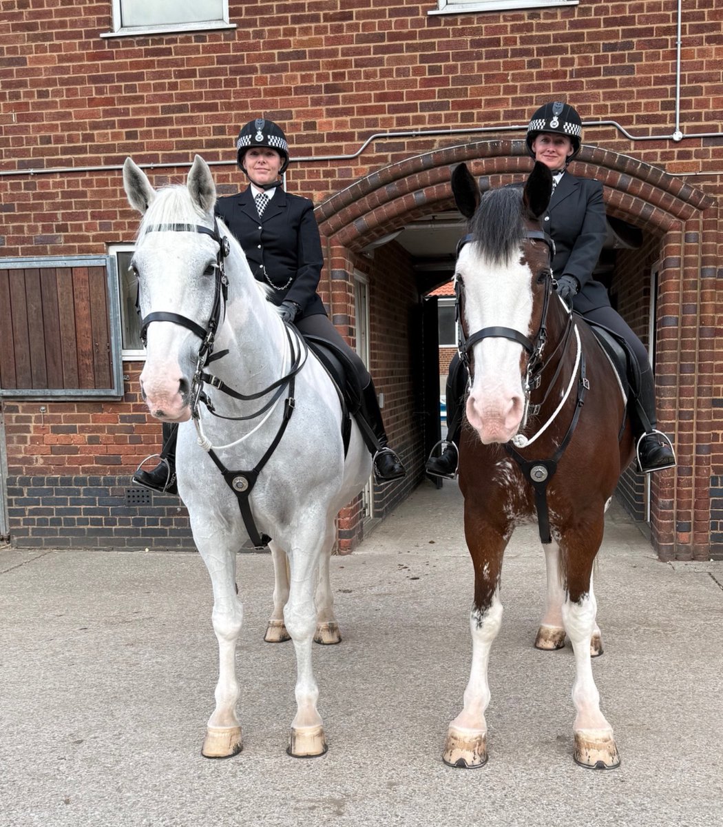 MerPolMounted's tweet photo. This evening, Silver, Beau and our officers attended the passing out ceremony for our newest @MerseyPolice officers.

Congratulations to all the new officers!
#StandTall #PHSilver #PHBeau #MerpolMounted #PoliceHorses https://t.co/75zzhC73Ed