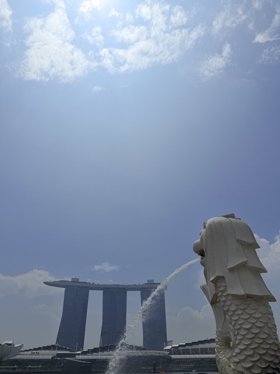 Trese_o's tweet photo. There are so many people visiting Singapore today. https://t.co/hdi7OVpPYu