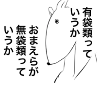 appledog_eringi's tweet photo. カンガルーのスタンプがあるよ
https://t.co/yMXKLpvQUi https://t.co/fCbVNxNxYi