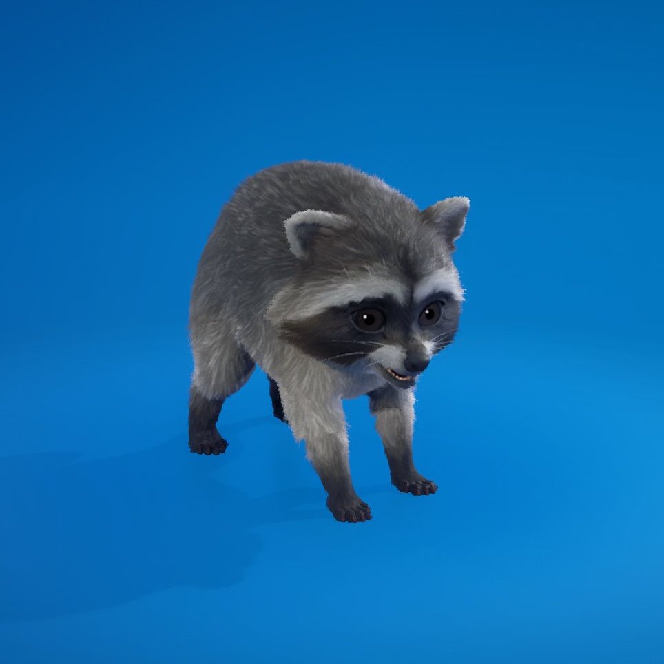 sandiskifn's tweet photo. 🦝 CURIOSIDADE: A Epic Games decidiu adicionar ao Fortnite o Mascote Jimothy (Xinim) que é real e, seu flagra em Seattle, viralizou em julho deste ano — O cosmético pode ser resgatado gratuitamente!

O animal é um filhote de guaxinim que possui seu pescoço anormalmente curto provavelmente causado por uma deformidade congênita da coluna vertebral.