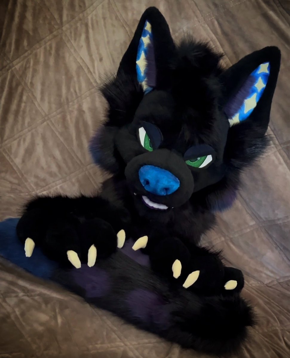 crow_desigen's tweet photo. Fursuit Maker &amp; Digital Artist
Custom Fursuits | Fursonas | Digital Art
Bringing your characters to life one creation at a time
Quality • Creativity • Custom Designs
Commissions Open — DM me to get started!
#FursuitMaker #Fursuit #FursuitCommission #FurryArtist #FurryArt https://t.co/4G4d0I3igP