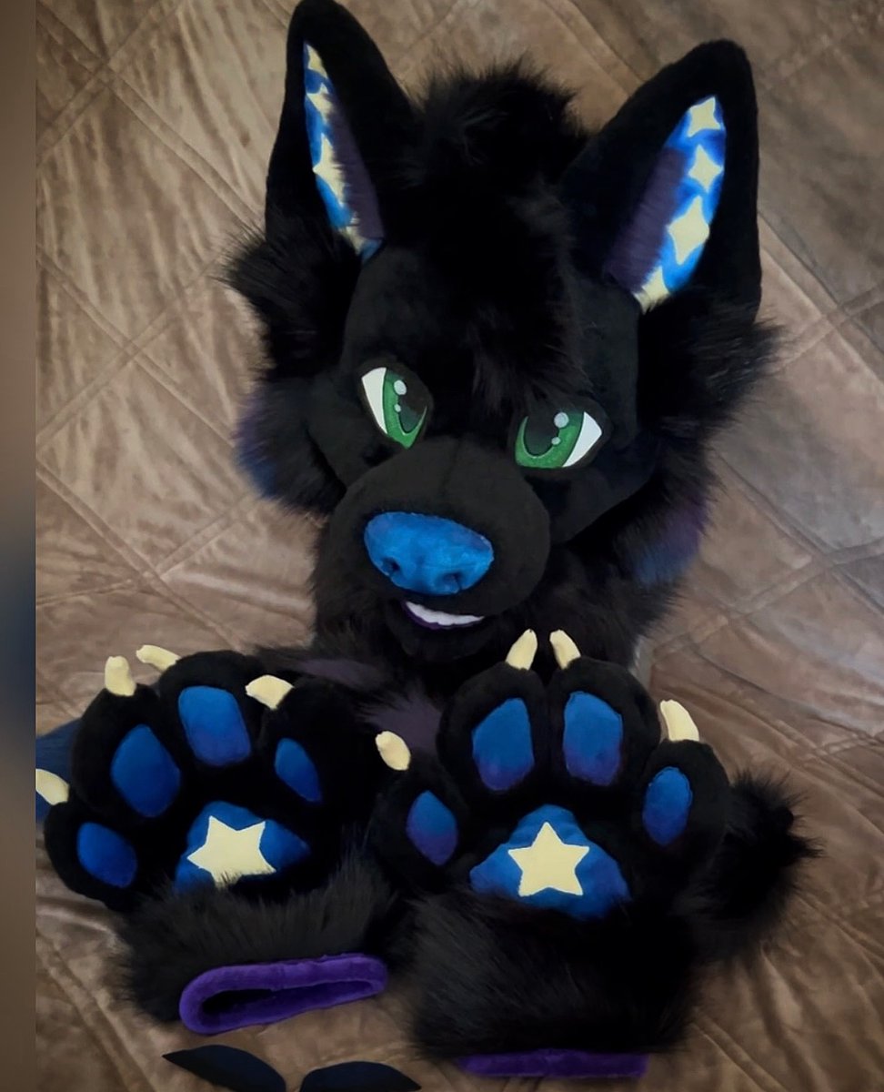 crow_desigen's tweet photo. Fursuit Maker &amp; Digital Artist
Custom Fursuits | Fursonas | Digital Art
Bringing your characters to life one creation at a time
Quality • Creativity • Custom Designs
Commissions Open — DM me to get started!
#FursuitMaker #Fursuit #FursuitCommission #FurryArtist #FurryArt https://t.co/4G4d0I3igP