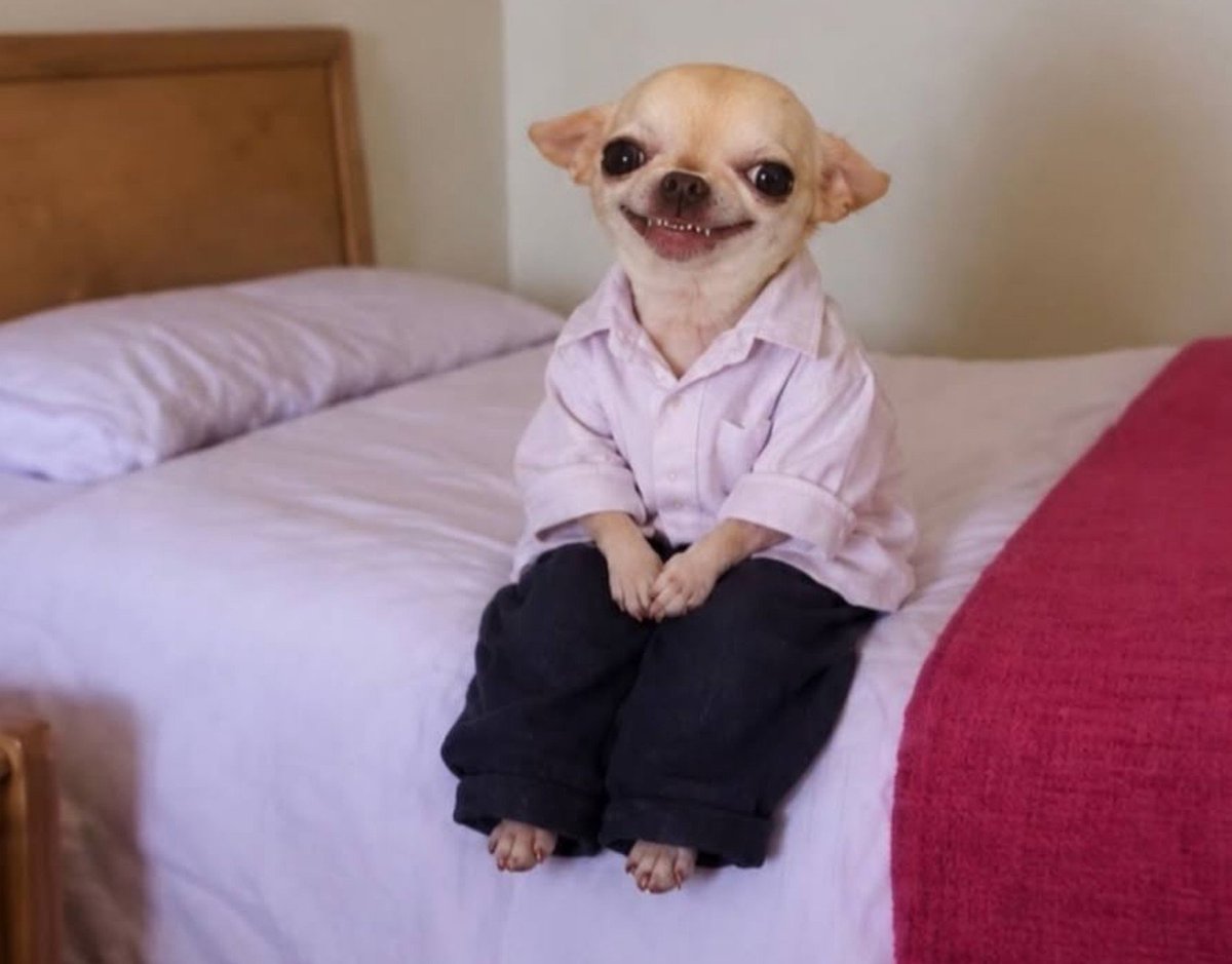 NeshRelates's tweet photo. Me thinking that I fixed my life just because I cleaned my room https://t.co/altiqcKQEr