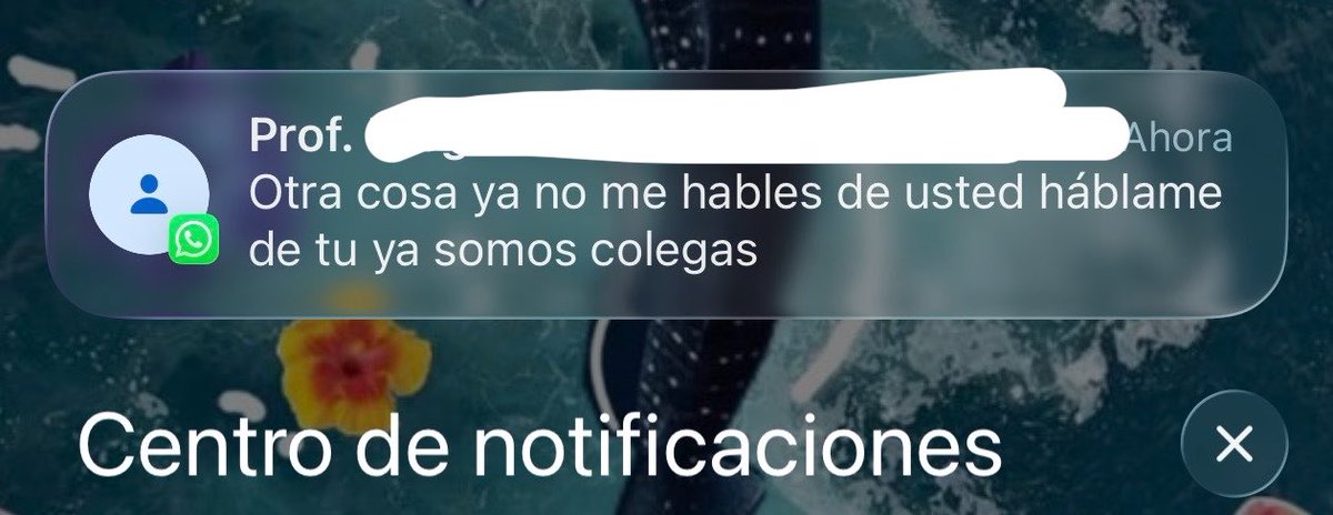 Ale41224's tweet photo. Sí lo logreeeeeeeee. 😭✨
Si de por sí ya era una ñoña de primera, siendo profesora seré mil veces peooooooor. 🤓 https://t.co/DmjDbTomhL