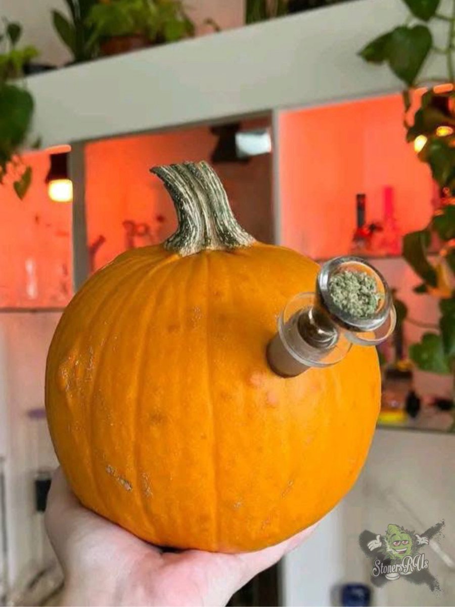 _StonersRUs_'s tweet photo. It’s officially spooky season!! 🎃 https://t.co/X11CqqqMjB