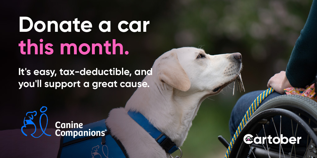 canineorg's tweet photo. 🚗 Get rid of your unwanted car, boat or motorcycle for FREE, and help provide more #servicedogs to people with disabilities! 🐕‍🦺

Learn more and donate: https://t.co/Yd9ujAxhAX

#Cartober #fallcleaning #cars #boats #motorcycle #donate #donations https://t.co/FOTnXJJdk0