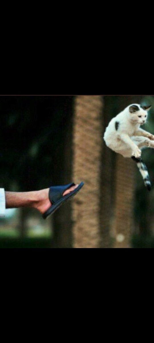7Loca_1's tweet photo. @MalikAhmed2ijn هيك 😅😅 https://t.co/lCKyuo7H3U