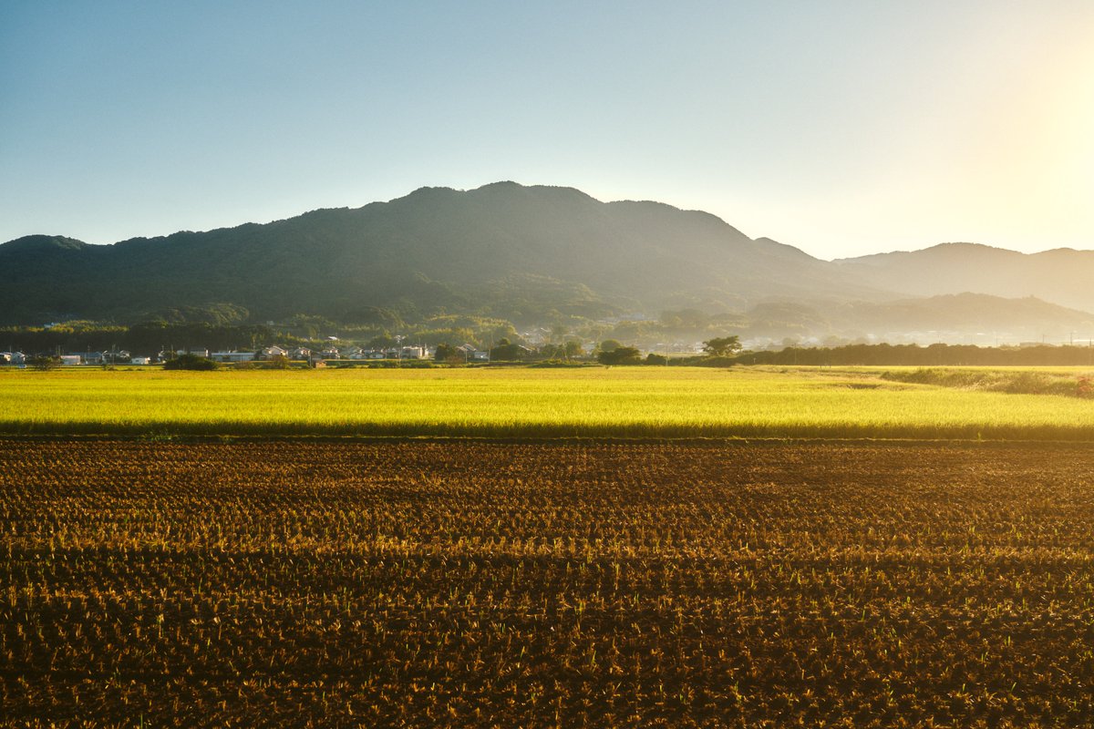 shintake_photo's tweet photo. いつもの景色に、秋が増えていく。 https://t.co/0XRXfm7xh4