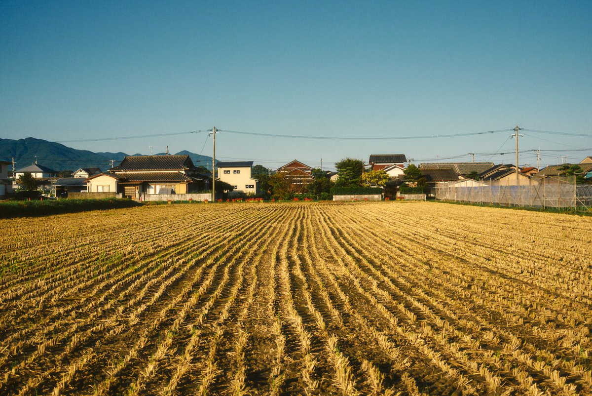 shintake_photo's tweet photo. いつもの景色に、秋が増えていく。 https://t.co/0XRXfm7xh4