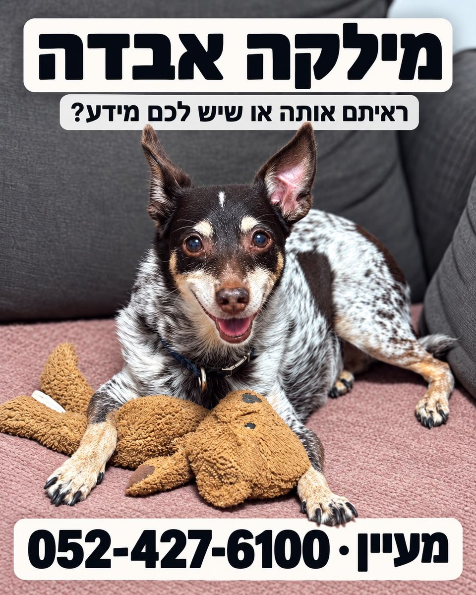 osh15eni's tweet photo. @efratfrid ושלי https://t.co/JFX9IiK2j0