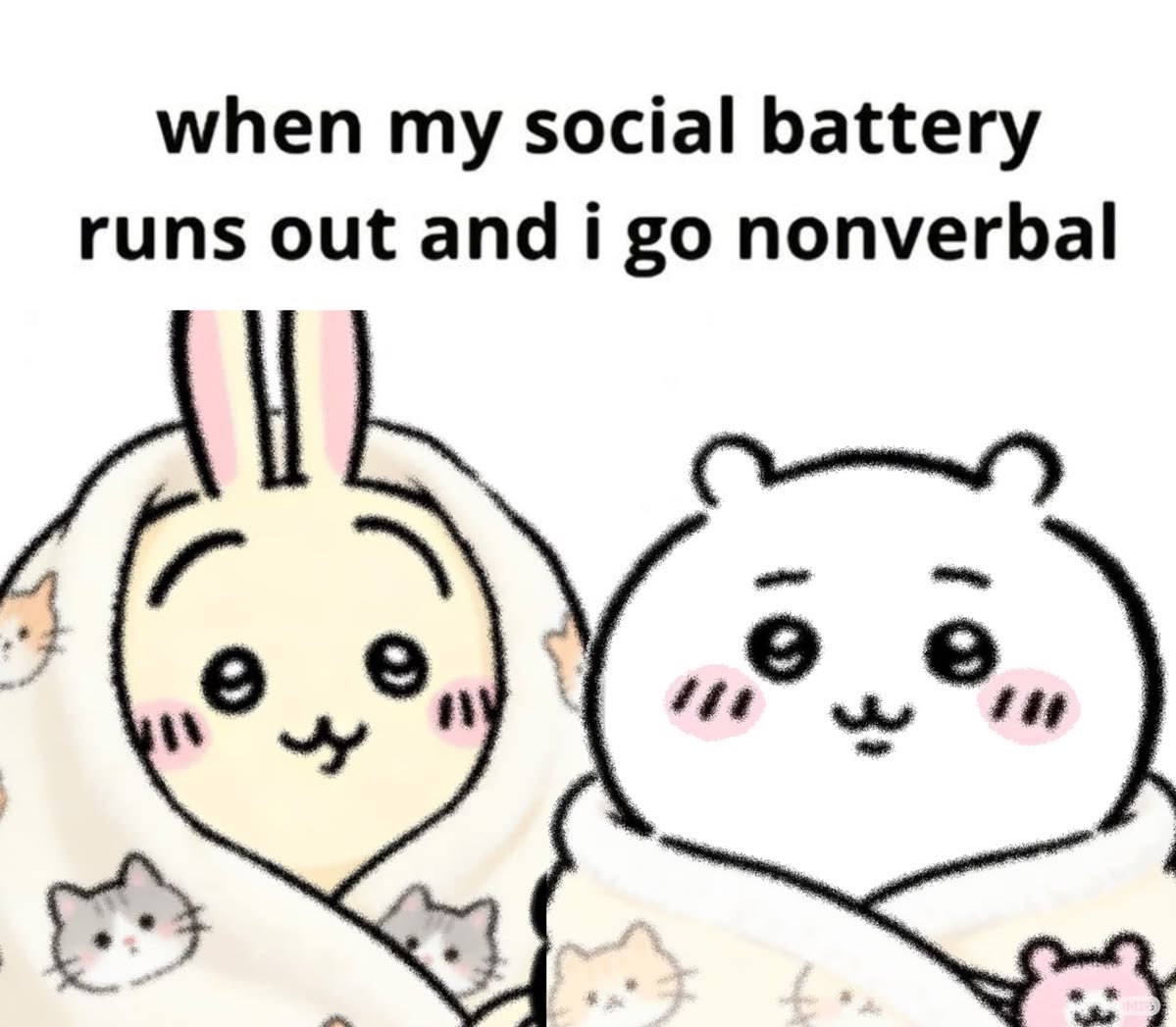 selkieyo's tweet photo. https://t.co/orspNyiKxa