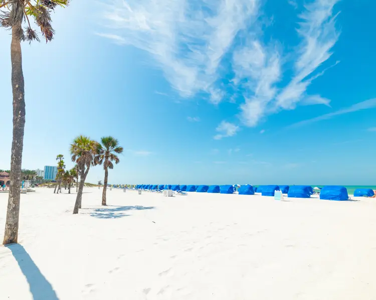 FlyCIRA's tweet photo. October plans look better with a boarding pass. 🍂✈️

What destination is next on your list?

Explore your options at https://t.co/1JLHmidyl9

#FlyCIRA https://t.co/J4Wl2a8gOT