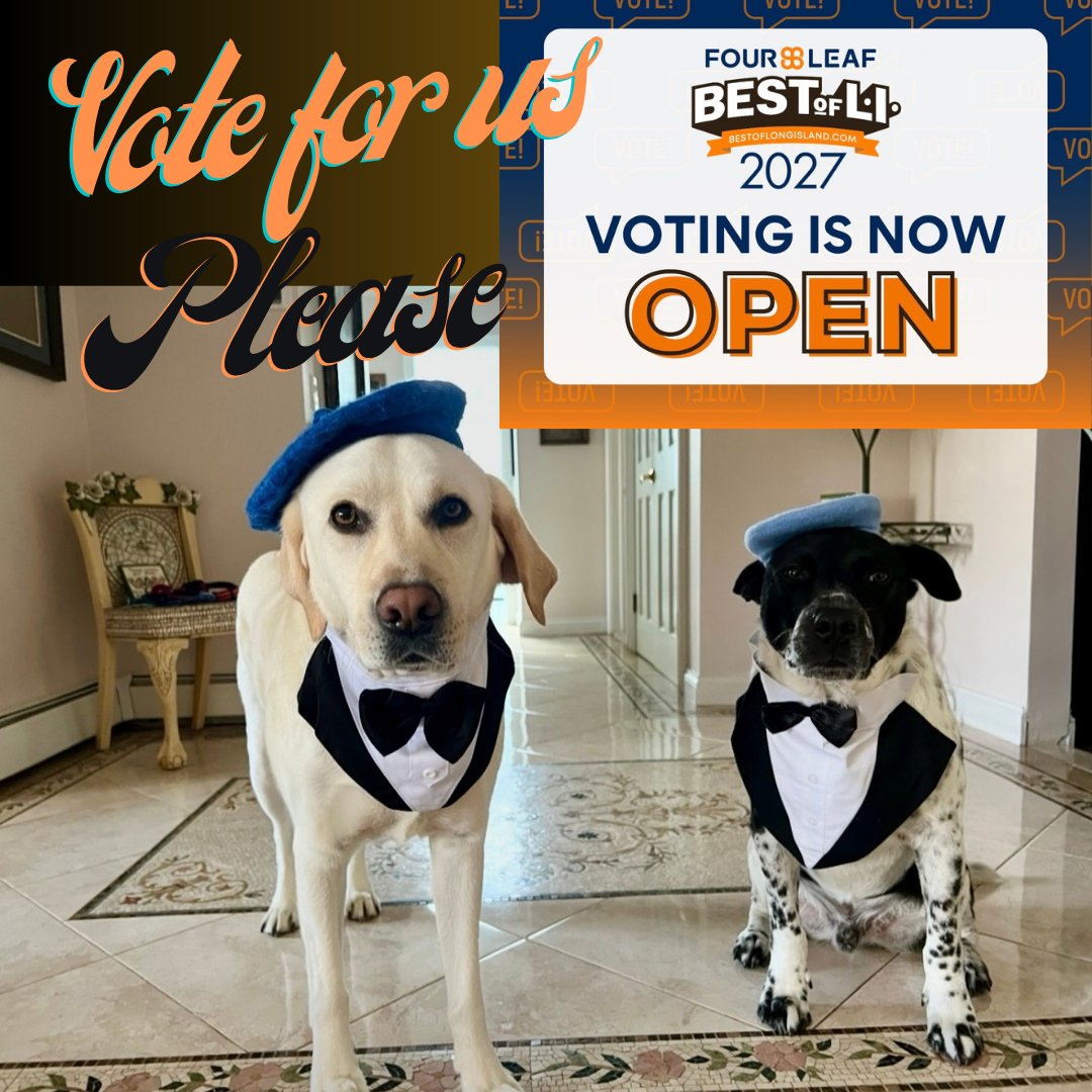 CREATEARTIST's tweet photo. Woof! We have very exciting news! We've been nominated for the most talented pet category for the Best of L.I.. We won it last year! Let's keep the winning going! Please vote for us once a day until  12/15! click the link below to cast your vote! Thanks!!
https://t.co/liLPQHsysy https://t.co/4ZcMaeh8rB