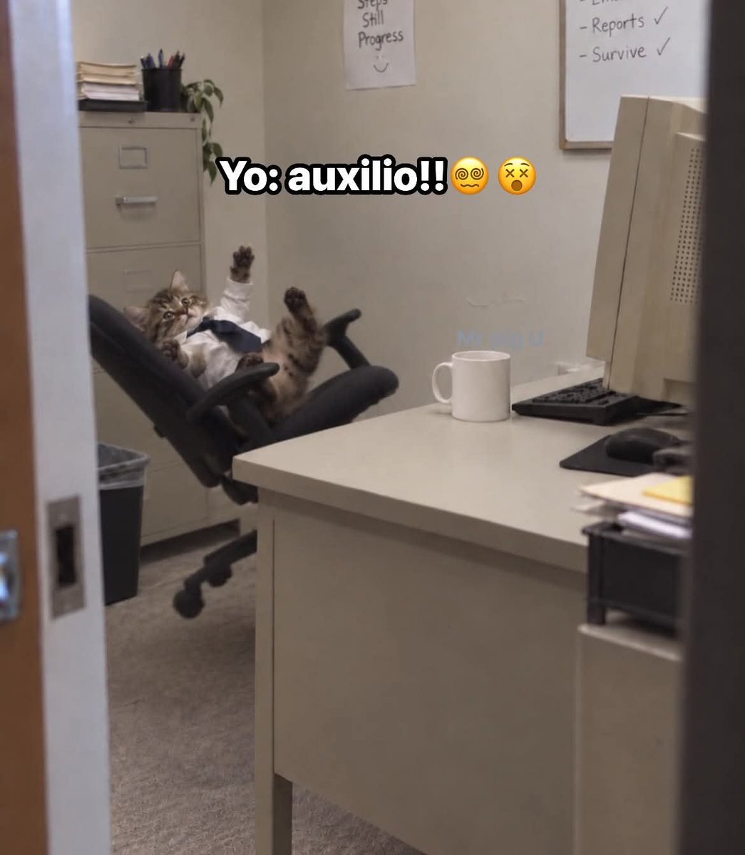 Lunita_Os's tweet photo. Yo en el trabajo, jugando con la silla👉🏻👈🏻 https://t.co/GyvVODMO16