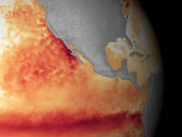 DISTRIBUTECH's tweet photo. [Power Grid News] What El Niño 2026-27 could mean for utilities and the power system https://t.co/Bgh8VaED2Z #factorthis #News #OutageManagement #PowerGrid #DTECH #ElNino #ReliabilityandResilience https://t.co/gSlu5xjokr