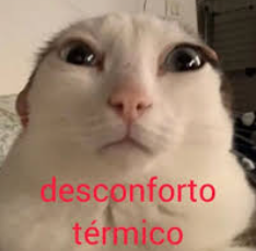 nettolz's tweet photo. comecei a ligar o ventilador de tarde em Garanhuns= chegou a disgraça do calor https://t.co/goiHz8Sukv