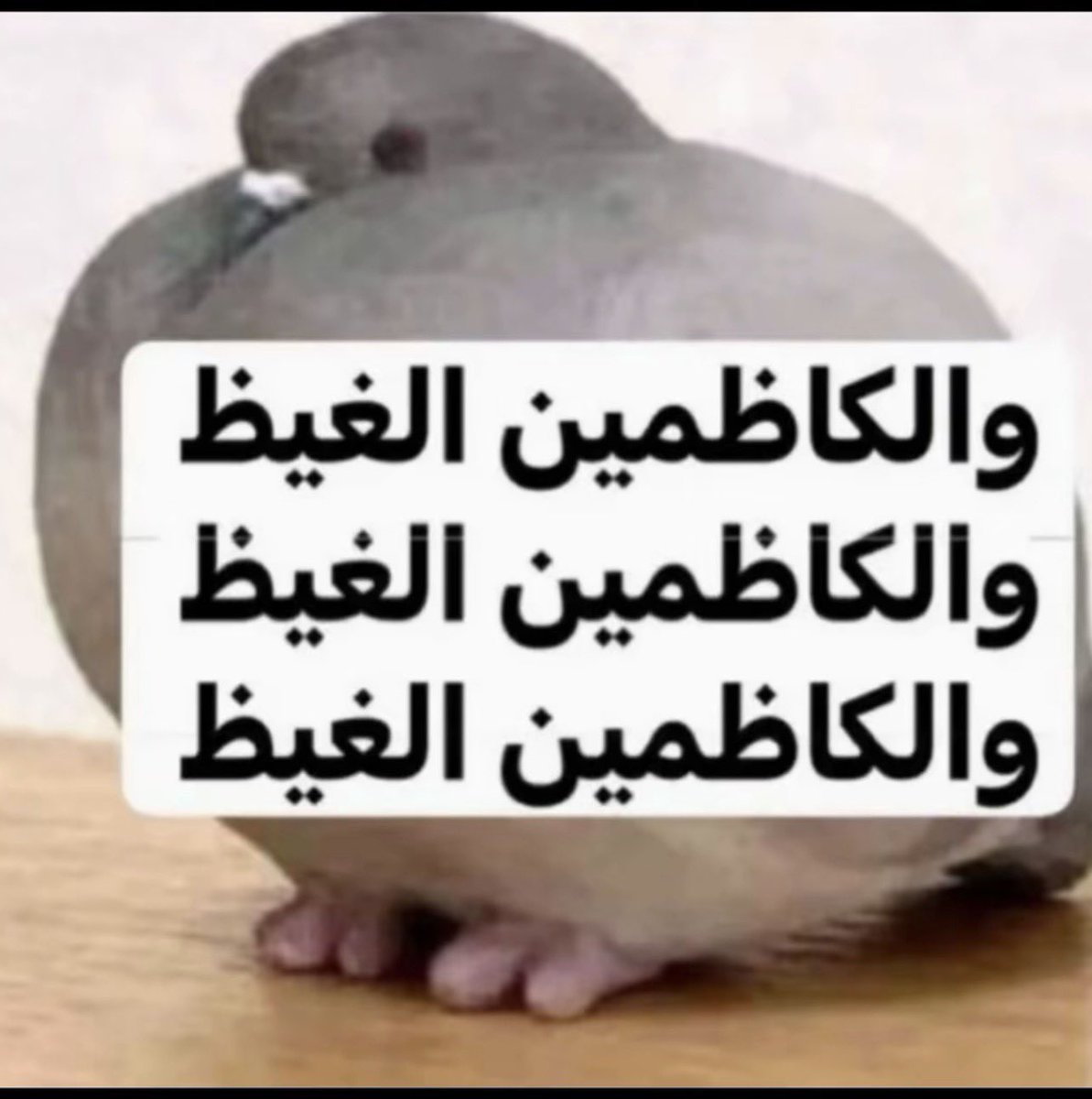 qrx86's tweet photo. عدلت نومي طرق https://t.co/triRV5Yxi3