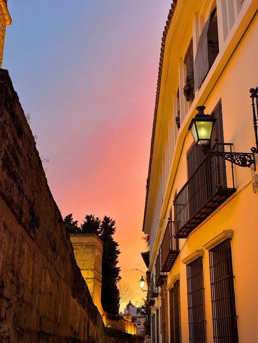 JulietHawkch's tweet photo. Caminé por las calles adoquinadas de Sevilla al atardecer, tomé una taza de café con churros y sentí la magia de su arquitectura morisca: cada rincón tiene una historia que contar ， https://t.co/NjzN1bxmmb