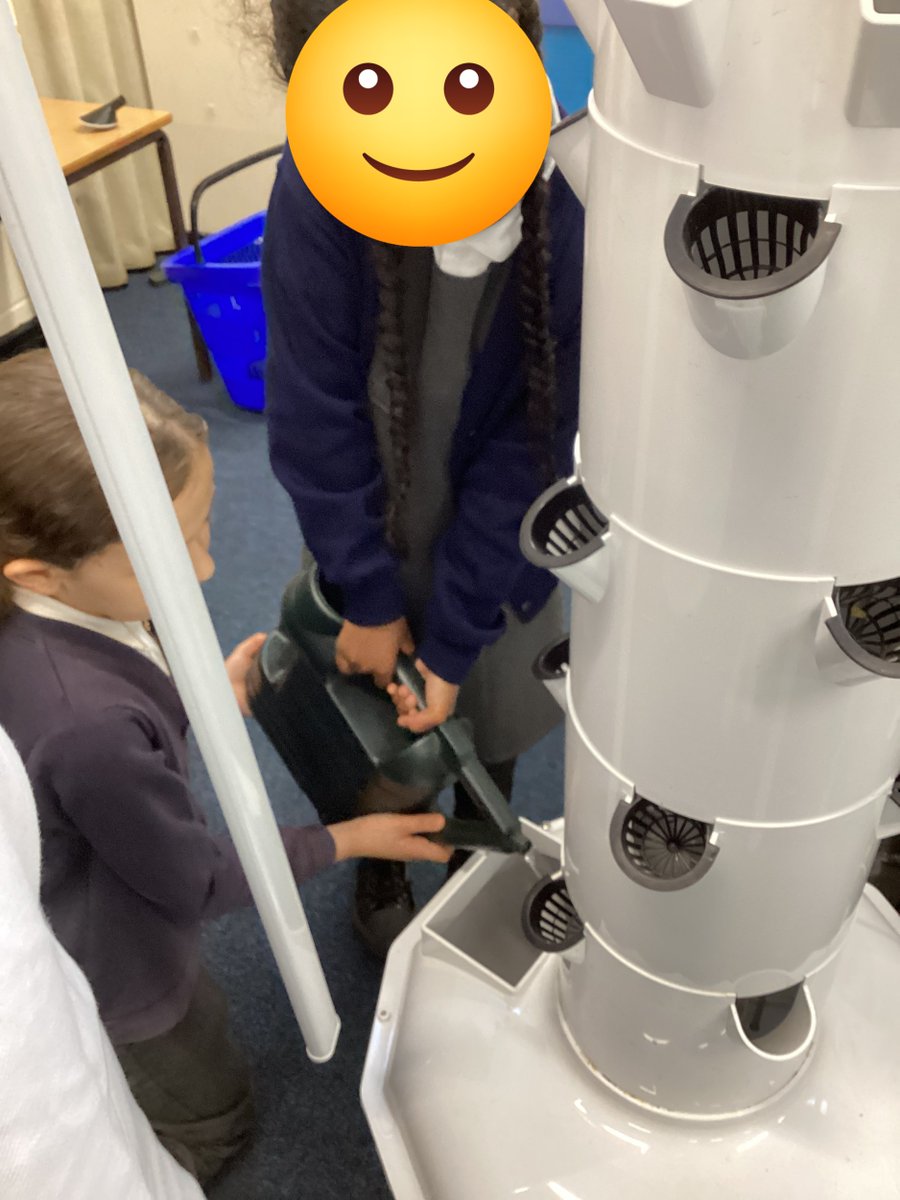 Nonsuch_School's tweet photo. Gardening Club prepared our @RethinkFoodUK 'plant dalek' and then transplanted our healthy lettuce seedlings.We will watch their progress over the next few weeks as they grow for our school lunches! 🥬 We also picked ripe tomatoes &amp; chives,which we took home to enjoy!🥗#gardening https://t.co/VaqRiMO4ti