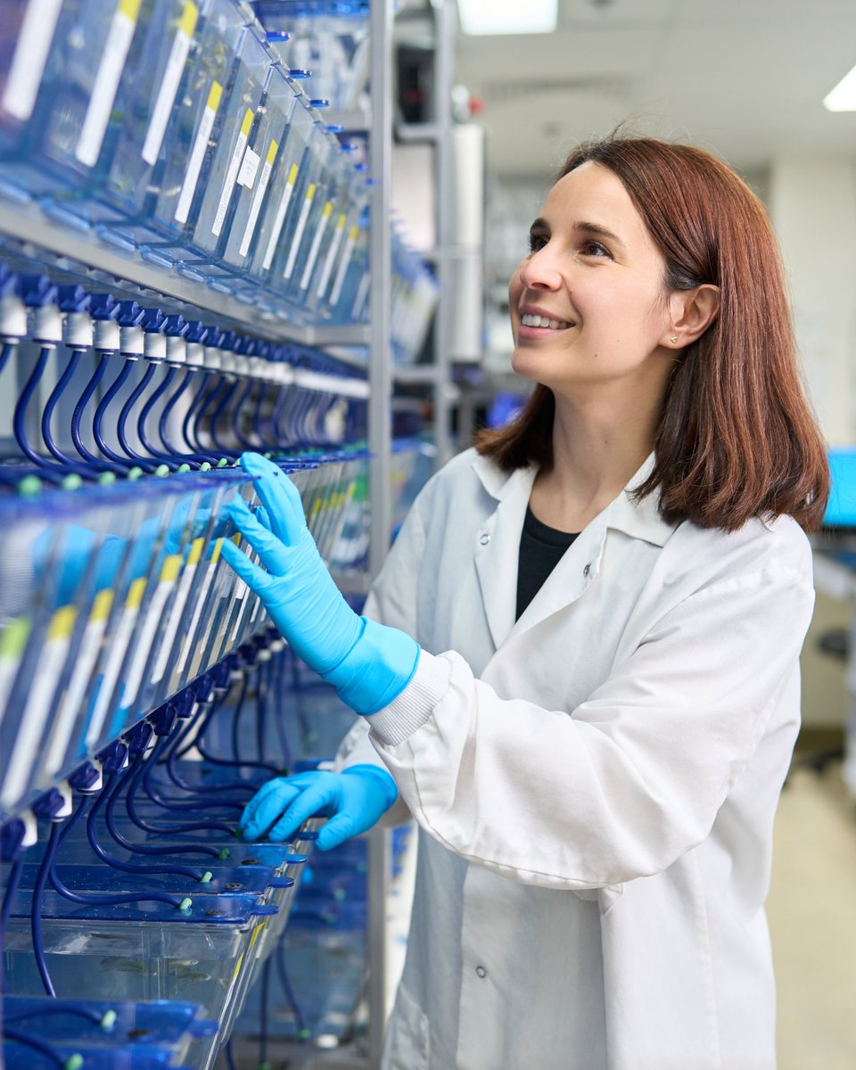 hhmi_science's tweet photo. Postdoc or early career faculty? Applications for our '28 #FreemanHrabowski Scholars &amp; #HannaGray Fellows Programs open 11/3! Prep by joining us 10/22 @ 2pm ET for a live informational webinar with the HHMI Science Programs team. Register at https://t.co/VccJM1JC1E. https://t.co/rYDolx7aer