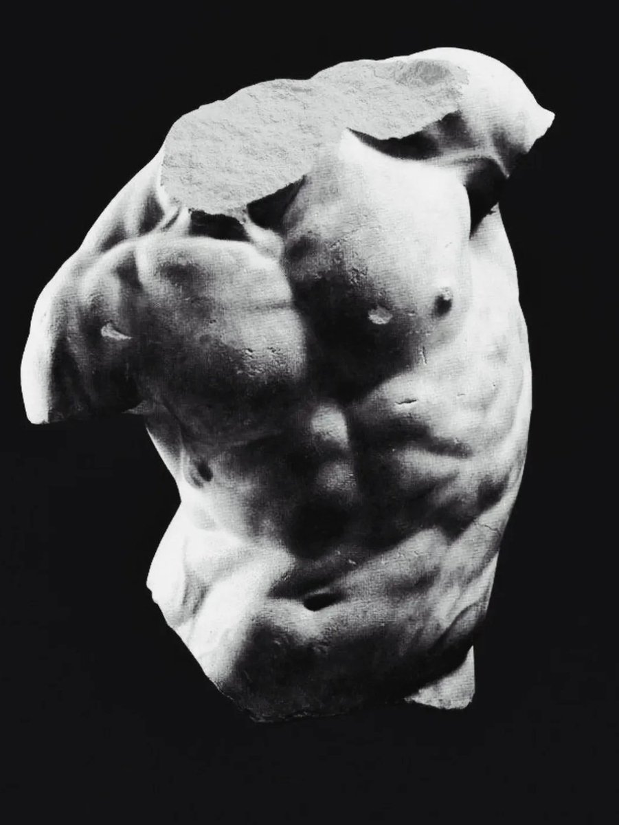 Since_1944's tweet photo. “A body that has been disciplined through struggle possesses a kind of moral beauty that no sermon can equal.”

— “Sun and Steel” https://t.co/TS1hqoaJyP