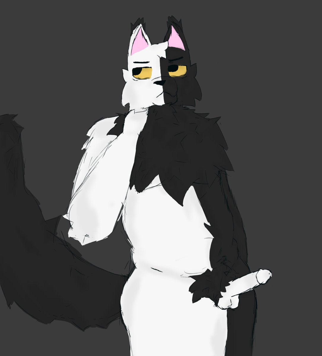 S0ulWithN0king's tweet photo. I was kinda lazy with this one but whatever https://t.co/bfWVkQ2XAF