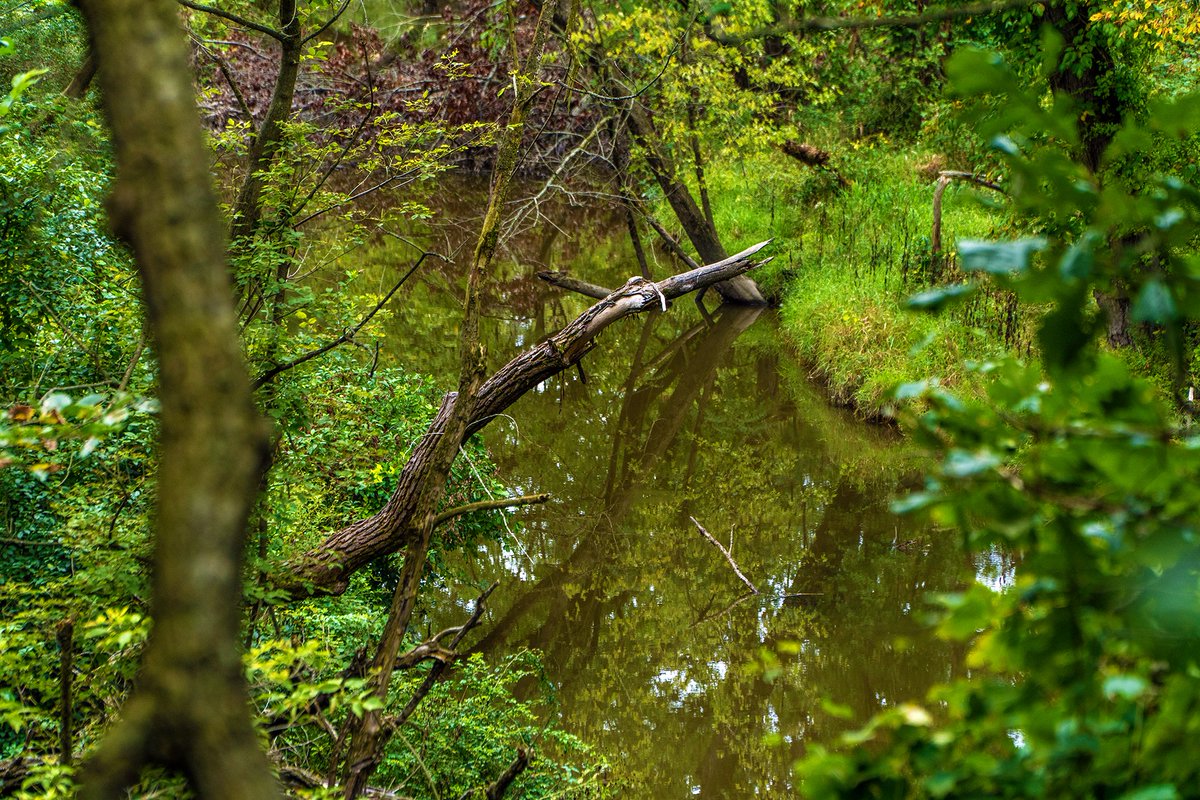 VillageOfCrete's tweet photo. The Beauty of Crete: The Crete Bike Trail runs between Douglas Lane and Bradford Place, covering about 1.3 miles of paved path through the woods along Deer Creek. With benches along the way, it's a perfect opportunity to get outside and enjoy the natural beauty of our community. https://t.co/I0DrHRKT5i