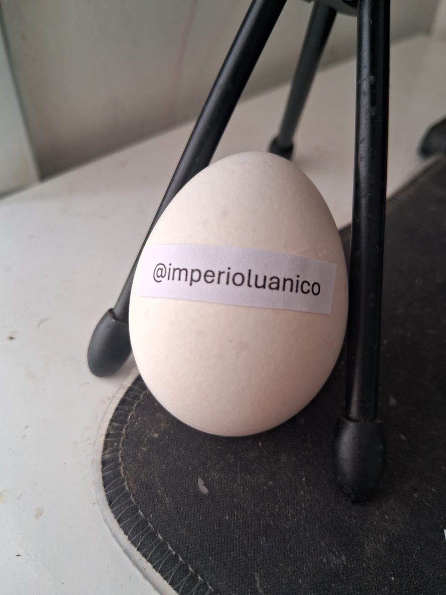 Usuovo's tweet photo. @imperioluanico thanks for the follow! https://t.co/IVgJ6v6KVF