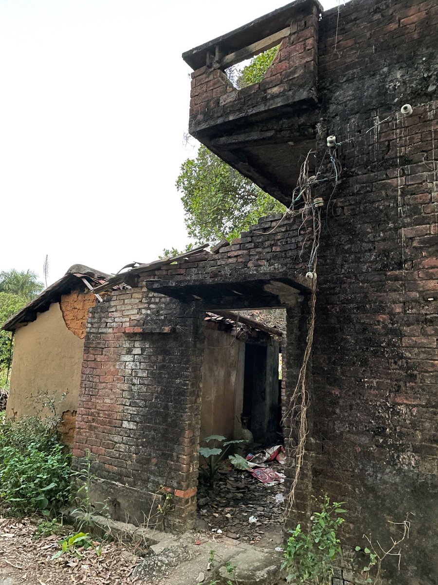SeniorSolutio11's tweet photo. Today at the old gu house, I saw a mysterious guy with a prick, but there's a library near the path. https://t.co/xL9e0pOYQq