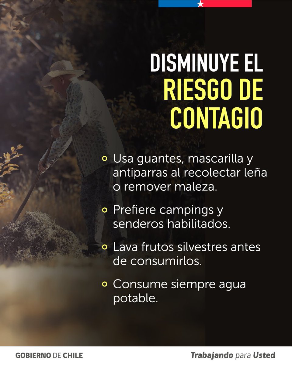 Salud_Responde's tweet photo. 🐭⚠️ ¡Prevengamos el Hanta!
🧤 Usa guantes y mascarilla.
🌬️ Ventila por 30 minutos antes de ingresar a lugares cerrados.
🏠 Mantén casas, bodegas y patios limpios y libres de maleza.
🥫 Guarda alimentos y agua en recipientes herméticos.

📞 Salud Responde 600 360 7777 https://t.co/8xgpf7fP6B