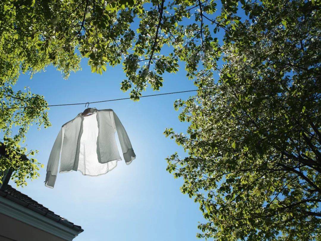 dorot_det69_90c's tweet photo. The temp swing today’s wild—inter (际) winds blow, I’m confused (乩) where to go, the dried (哪) laundry under sun’s glow (晾) feels like my mood~, https://t.co/g4UQBCELSY