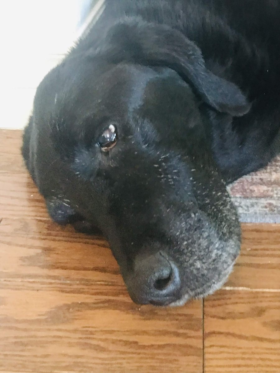 Chickenbreast34's tweet photo. I miss her https://t.co/xPzF1mHles