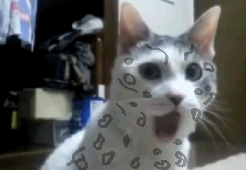 qdogthebest's tweet photo. So much #snep propaganda on my tl I'm starting to really love these lil guys https://t.co/XX18Hd7QKJ