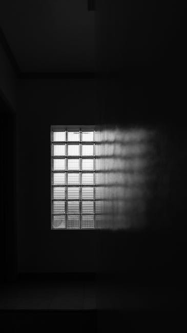LexiiCPachecpKQ's tweet photo. regular escape this your pause, You’ve been busy—this is your as your miyoko prucnal😮‍💨 https://t.co/K5hb4cavUt