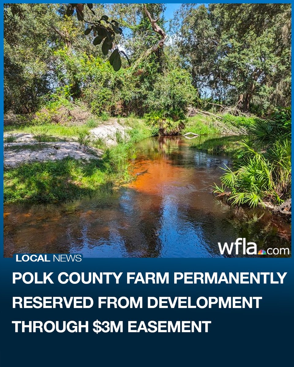 WFLA's tweet photo. Florida Commissioner of Agriculture Wilton Simpson announced Thursday the permanent protection of hundreds of acres of land in Polk County through a state program.

https://t.co/y5yV5yxfZo https://t.co/1IOWgIkIgV