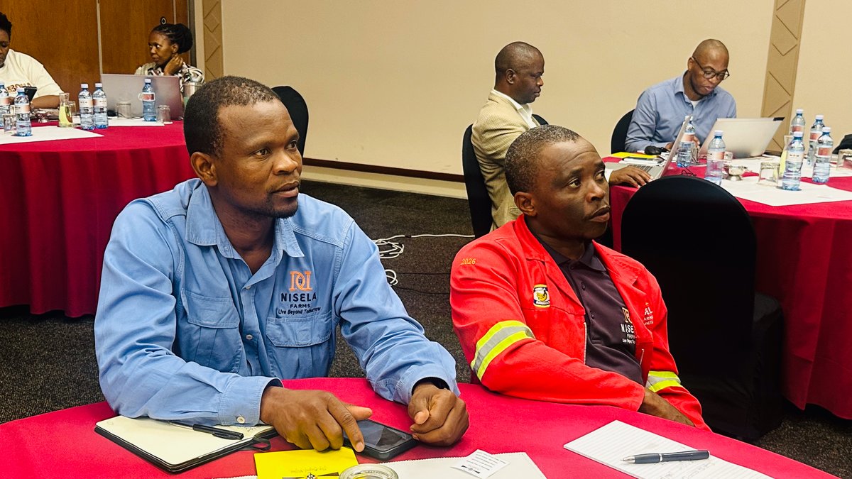 FAOEswatini's tweet photo. Stronger surveillance, safer horticulture!

@FAOEswatini with @agriceswatini1 #NPPO &amp; @iaeaorg  held a fruit fly surveillance &amp; Area-Wide IPM training through the activities of #STOSARII project - advancing national capacity to protect crops and strengthen resilient food systems. https://t.co/MGWEhTImHD