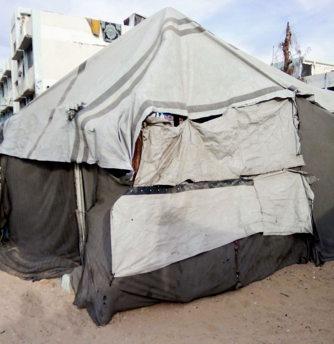 gaza167208's tweet photo. Hello friends, ❤️

Finally, thanks to your help, love, and continuous support for us, we are getting closer to raising what remains to secure a new tent for my family before winter arrives.

We still need only $270 to reach the required amount.

Every donation, no matter how small, can help us secure a shelter for my family and children and protect them from the cold of winter.

Please, donate and share my campaign.🙏