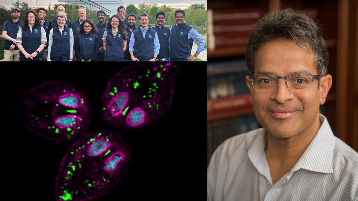 hhmi_science's tweet photo. Parasitic protists cause diseases like sleeping sickness &amp; leishmaniasis, affecting ~1B people/year. But #HHMIInvestigator Vamsi Mootha &amp; co have ID'd a vulnerability they share: ancient mitochondrial machinery that could be targeted by a new kind of drug https://t.co/wTdqenltig https://t.co/7eDiyixENF