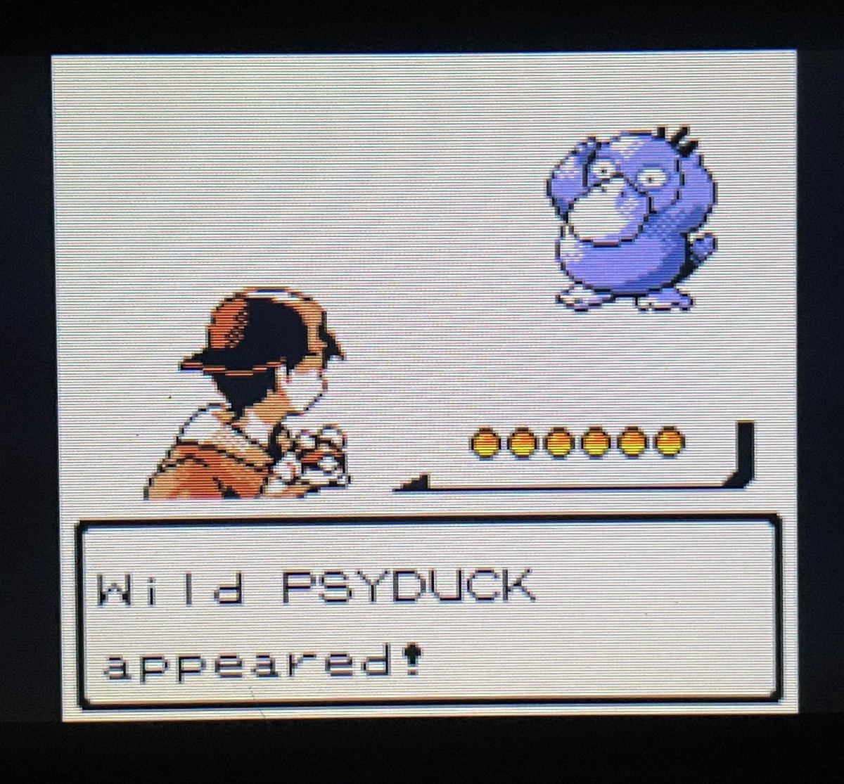 RickyPDillon's tweet photo. i finally got another shiny in pokemon crystal! PSYDUCK! 😃 this was my longest hunt in years…..LOL i got it after 138 hours! 💀 (i hunt while i watch tv at night, i don’t just sit there LMAO) i love this shiny so much omg 💙✨ https://t.co/BpPR3xp1q4