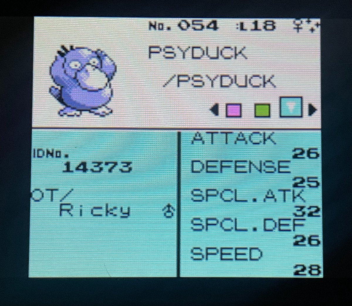 RickyPDillon's tweet photo. i finally got another shiny in pokemon crystal! PSYDUCK! 😃 this was my longest hunt in years…..LOL i got it after 138 hours! 💀 (i hunt while i watch tv at night, i don’t just sit there LMAO) i love this shiny so much omg 💙✨ https://t.co/BpPR3xp1q4