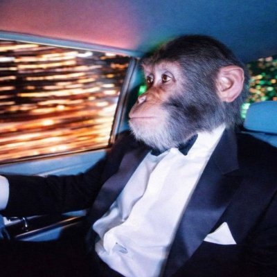 wxntwx's tweet photo. @BigBossSolana https://t.co/g4Qvz0rM3y