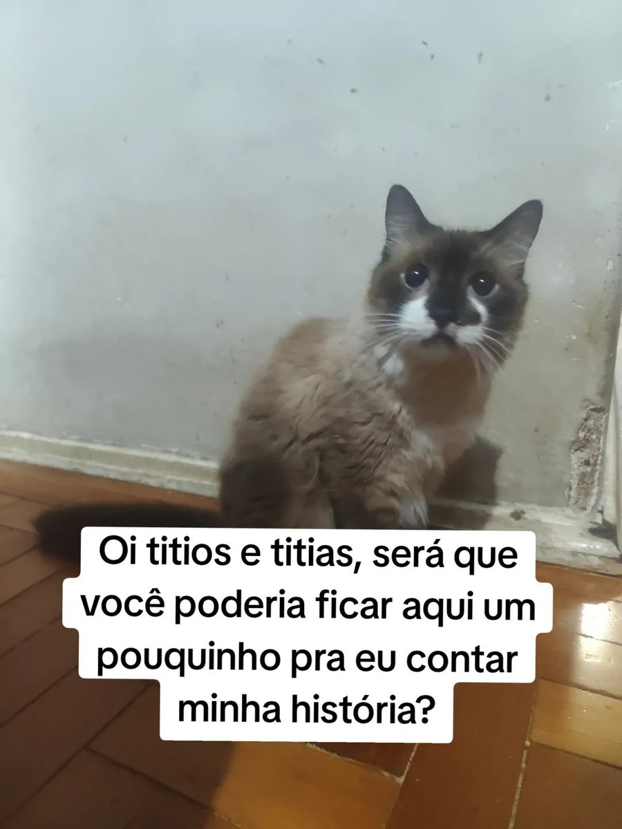 dracarysvic's tweet photo. Vou encher meu perfil de pedido de ajuda pra minha gatinha, porque estou acredito que vai dar certo e vamos conseguir ajuda pra ela 🙏🏻 Estou no desespero e tentando explicar direitinho as coisas, ela é nossa neném, precisa ficar bem, ela está lutando demais! https://t.co/K064wUeppE