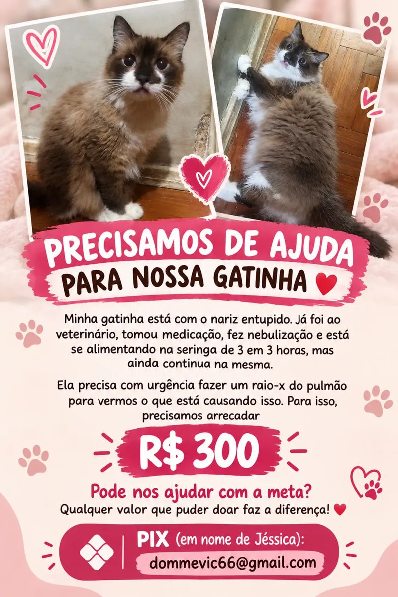 dracarysvic's tweet photo. Vou encher meu perfil de pedido de ajuda pra minha gatinha, porque estou acredito que vai dar certo e vamos conseguir ajuda pra ela 🙏🏻 Estou no desespero e tentando explicar direitinho as coisas, ela é nossa neném, precisa ficar bem, ela está lutando demais! https://t.co/K064wUeppE